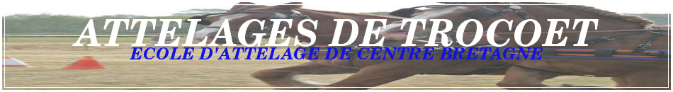 ATTELAGES DE TROCOET